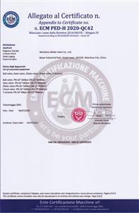 CE/PED